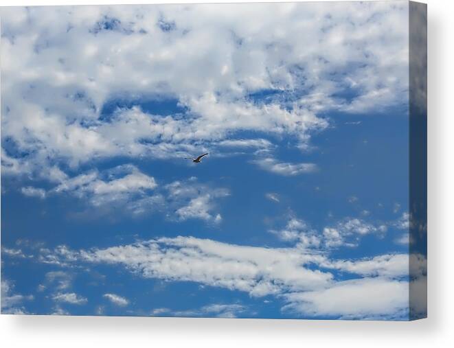 Blue Canvas Print featuring the photograph Blue White by Leif Sohlman