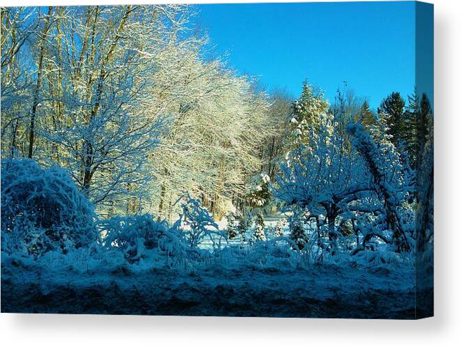 Canvas Print featuring the photograph Blue with Cold by Polly Castor