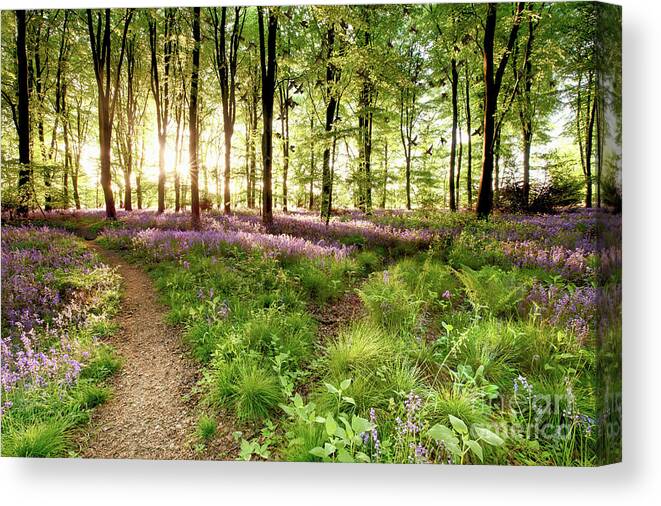 Bluebells Canvas Print featuring the photograph Bluebell woods with birds flocking by Simon Bratt