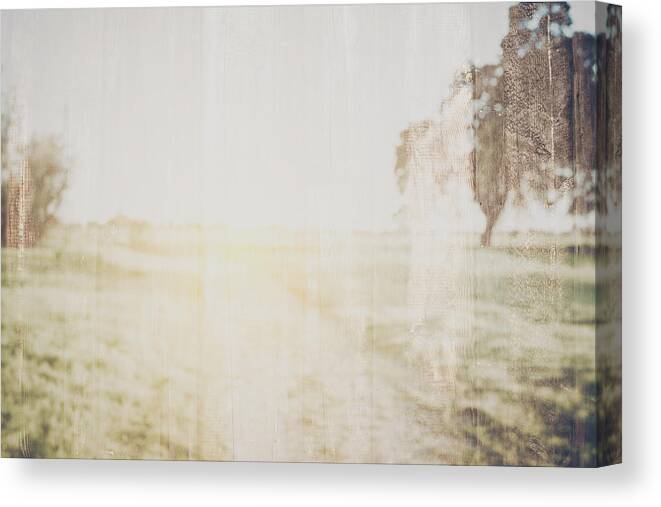 Blurred Nature Background with Instagram Style Filter Canvas Print / Canvas  Art by Brandon Bourdages - Fine Art America