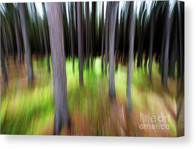 Time Canvas Print featuring the photograph Blurring Time by Bob Christopher