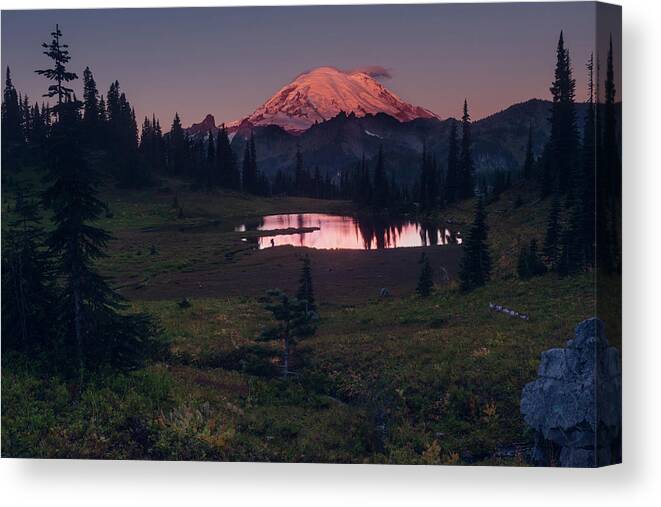 Mt. Rainier Canvas Print featuring the photograph Morning Blush by Gene Garnace