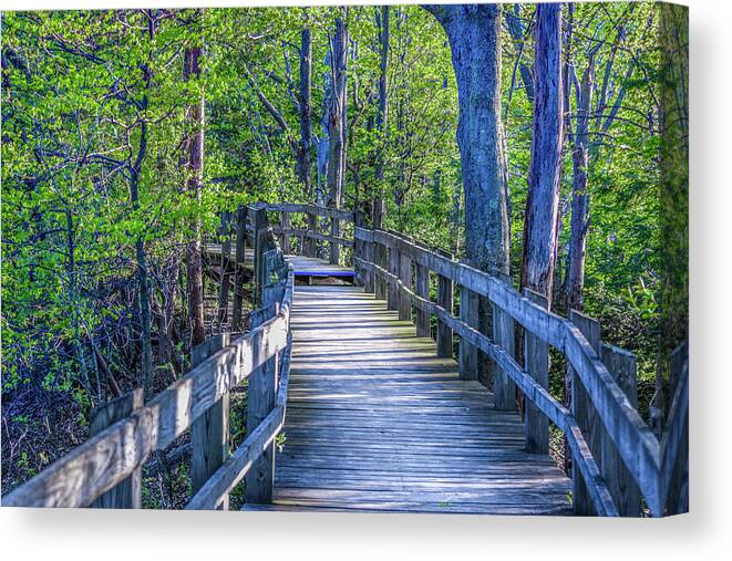 Landscape Canvas Print featuring the photograph Boardwalk Going Into the Woods by Lester Plank