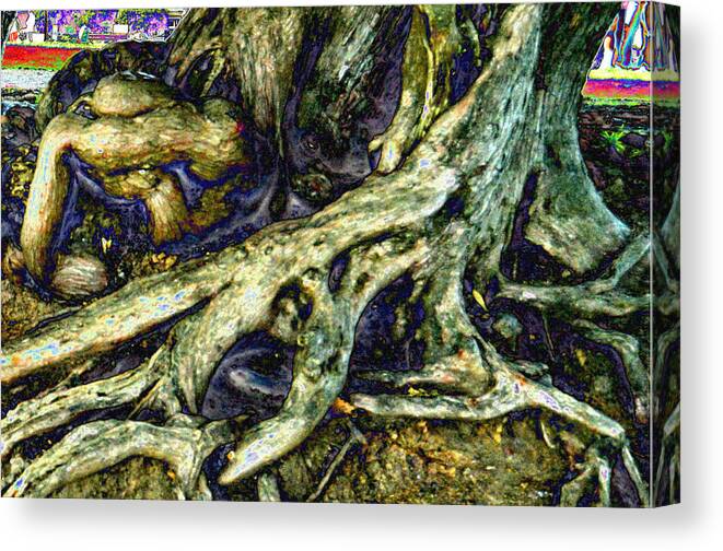 Tree_roots Trees Canvas Print featuring the photograph Body parts by Tom Kelly