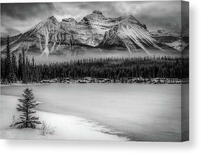 Banff Canvas Print featuring the photograph Bold Banff by Gary Migues