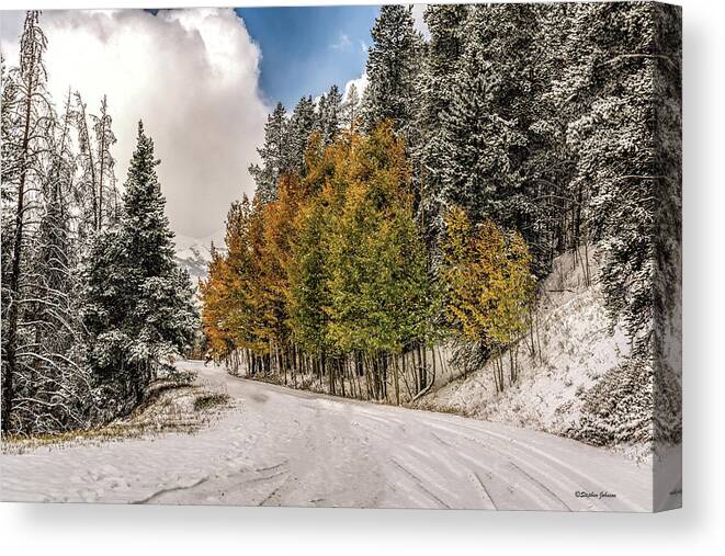 Boreas Pass Road Canvas Print featuring the photograph Boreas Pass Road Aspen and Snow by Stephen Johnson