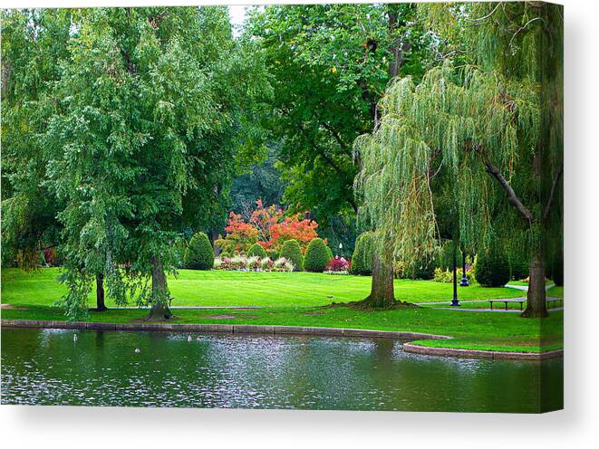 Boston Canvas Print featuring the photograph Boston Common Study 3 by Robert Meyers-Lussier