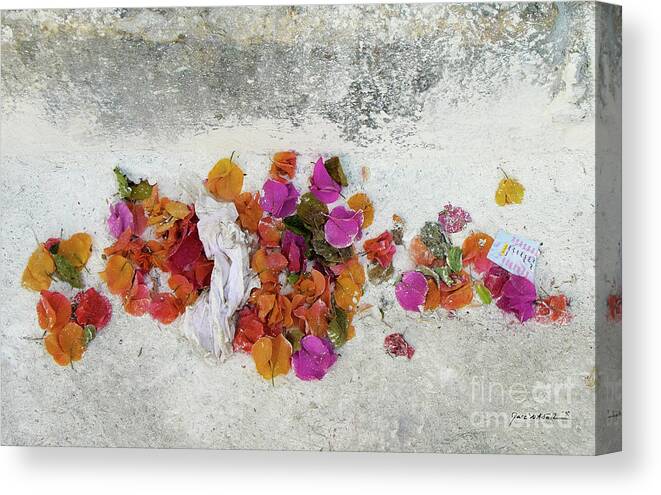 Insight Canvas Print featuring the photograph Bougainvillea's Last Reunion by Marc Nader