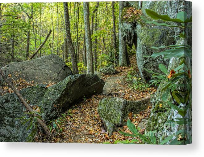 Boulders Canvas Print featuring the photograph Boulders on the Bear Hair Gap Trail by Barbara Bowen