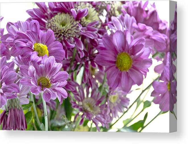 Bouquet Canvas Print featuring the photograph Bouquet in the Morning. by Elena Perelman