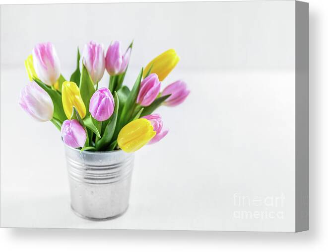 Bouquet Canvas Print featuring the photograph Bouquet of fresh tulips in a metal pot. by Michal Bednarek