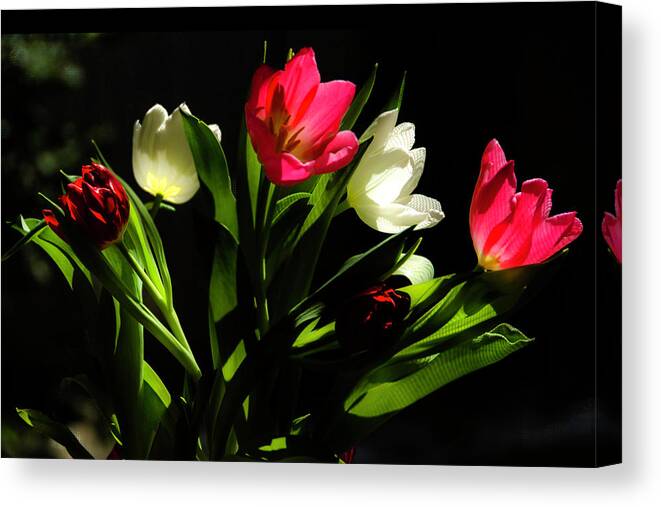 Tulips Canvas Print featuring the photograph Bouquet of Tulips by Wolfgang Stocker
