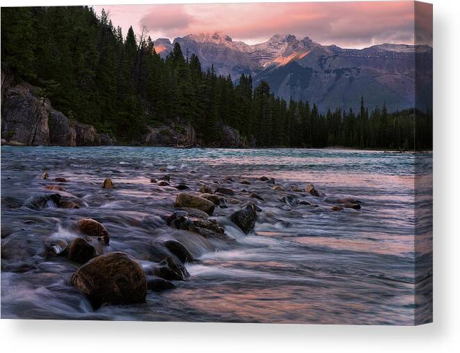 Banff National Park Canvas Print featuring the photograph Bow River Sunset reflections by Dave Dilli