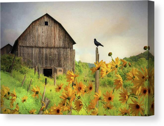 Barn Canvas Print featuring the photograph Bradford County Wildflowers by Lori Deiter