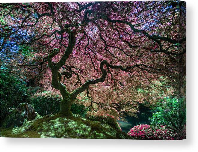 Portland Japanese Garden Canvas Print featuring the photograph Branches of Love by Chuck Jason