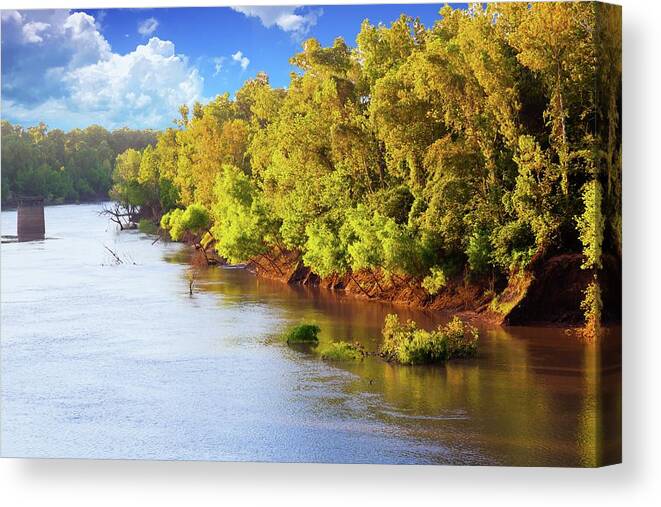 Nature Canvas Print featuring the photograph Brazos River by Judy Wright Lott