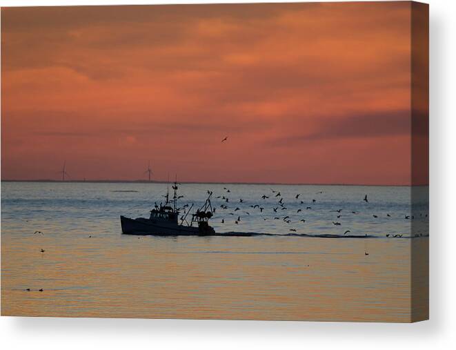 Cape Cod Canvas Print featuring the photograph Breakfast, Anyone? by Ellen Koplow