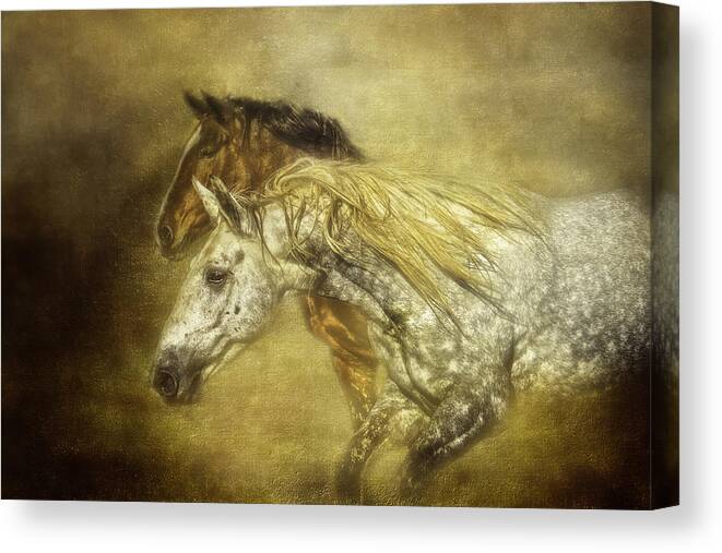 Equine Canvas Print featuring the photograph Breaking for Freedom by Eleanor Abramson