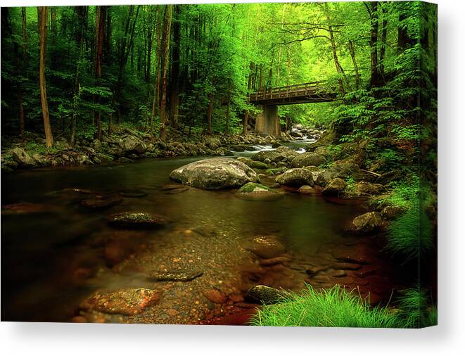 Tennessee Stream Canvas Print featuring the photograph Bridge Through The Smokies by Mike Eingle