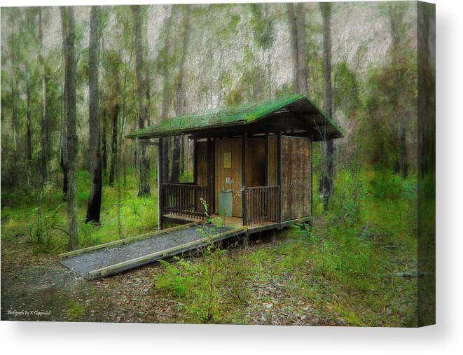 Brimbin Nature Reserve Canvas Print featuring the photograph Brimbin Nature Reserve 01 by Kevin Chippindall