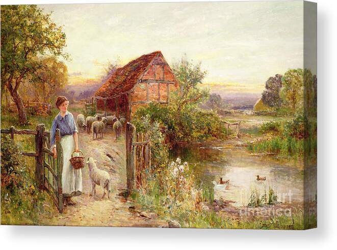 Bringing Home The Sheep By Ernest Walbourn (1872-1927) Canvas Print featuring the painting Bringing Home the Sheep by Ernest Walbourn