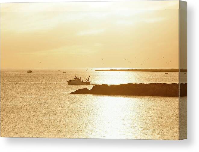 Landscape Canvas Print featuring the photograph Bringing The Days Catch by Allan Van Gasbeck
