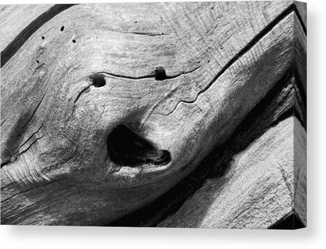Wood Canvas Print featuring the photograph Broken Smiles by Donna Blackhall