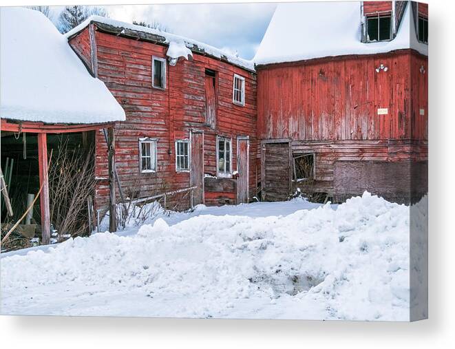 Williamsville Vermont Canvas Print featuring the photograph Brookline Barns by Tom Singleton