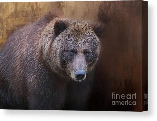 Brown Bear Canvas Print featuring the photograph Brown Bear Portrait by Eva Lechner