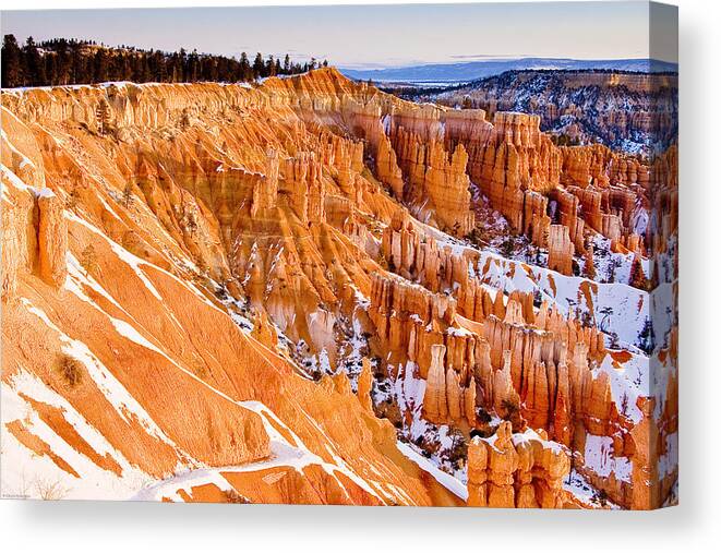 Landscape Canvas Print featuring the photograph Bryce at Sunrise by Ches Black
