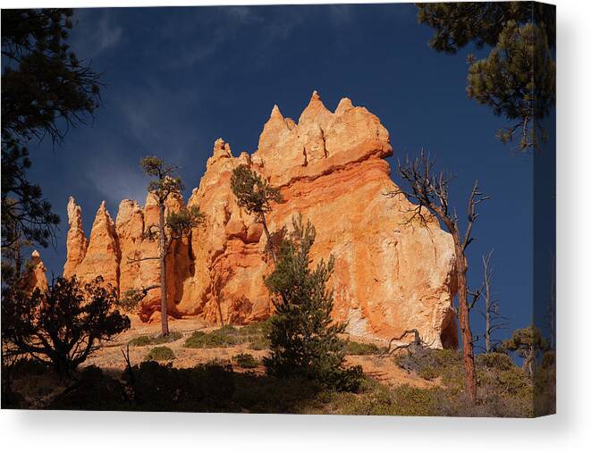 Bryce Canyon Canvas Print featuring the photograph Bryce Canyon Hoodoos by Alan Vance Ley