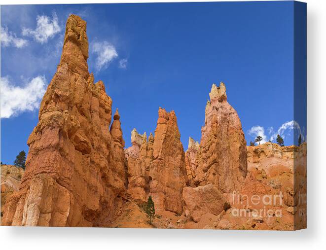 00559157 Canvas Print featuring the photograph Bryce Canyon Hoodoos by Yva Momatiuk John Eastcontt