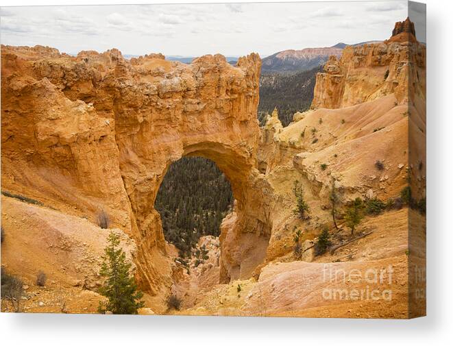 Bryce Canvas Print featuring the photograph Bryce Natural Bridge by Louise Magno
