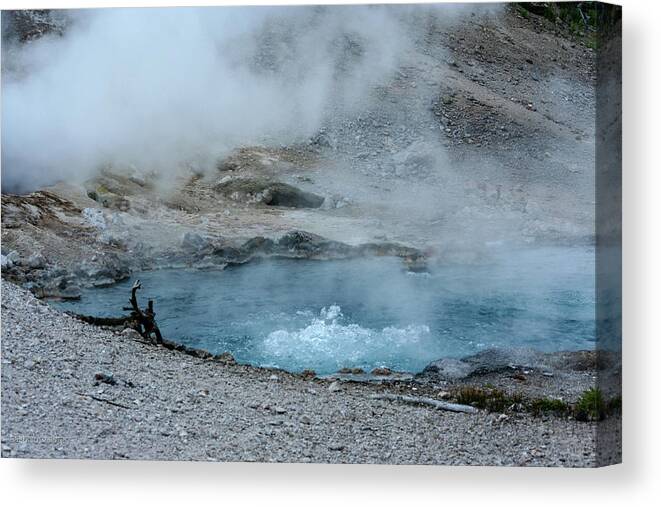Yellowstone Canvas Print featuring the photograph Bubbling Hot Springs, Yellowstone by Aashish Vaidya