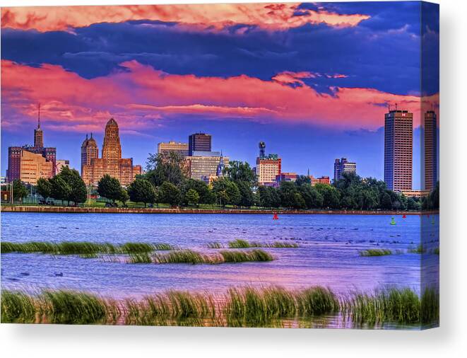 Buffalo Canvas Print featuring the photograph Buffalo In Pastels by Don Nieman