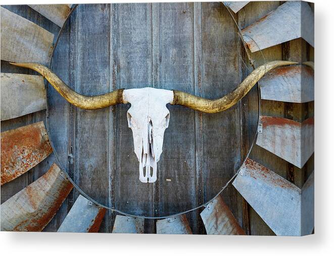 Texas Canvas Print featuring the photograph Bull Blade by Raul Rodriguez