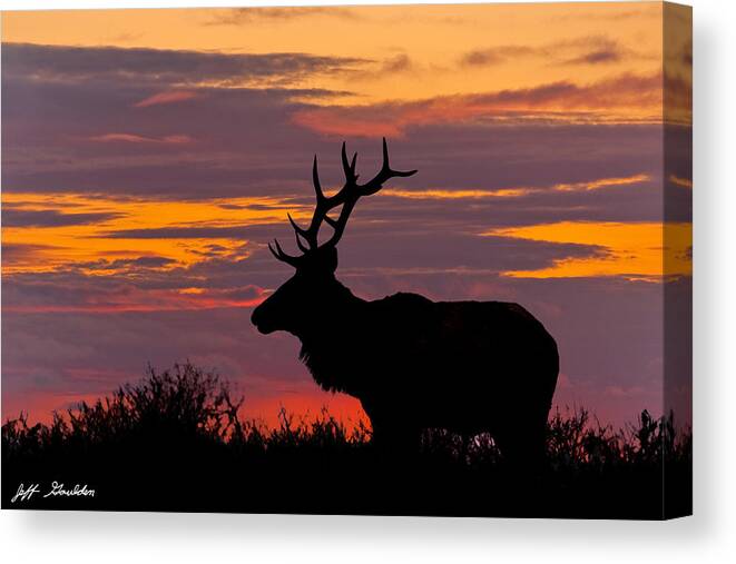Animal Canvas Print featuring the photograph Bull Tule Elk Silhouetted at Sunset by Jeff Goulden