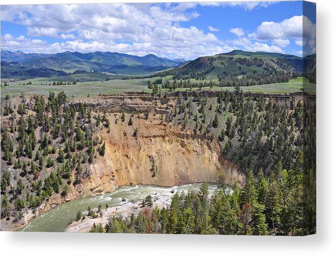 Yellowstone Canvas Print featuring the photograph Bumpus Butte Yellowstone by Bruce Gourley