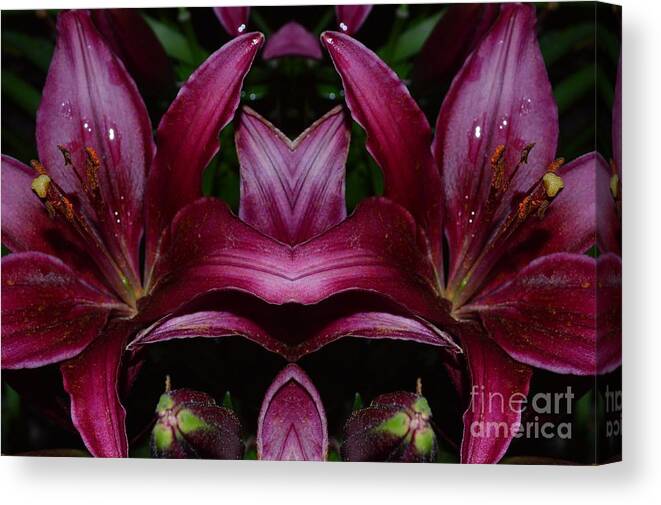 Burgundy Canvas Print featuring the photograph Burgundy by Beverly Shelby