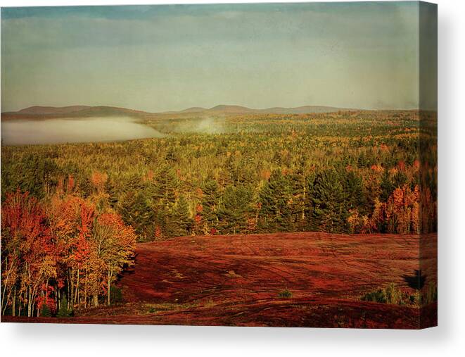 Autumn Canvas Print featuring the photograph Burgundy Fields by Sue Capuano
