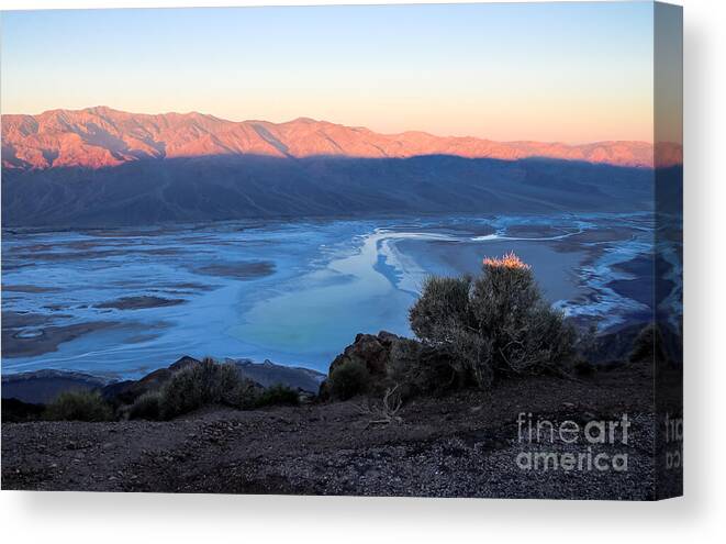 Dante's View Canvas Print featuring the photograph Burning Bush by Suzanne Luft