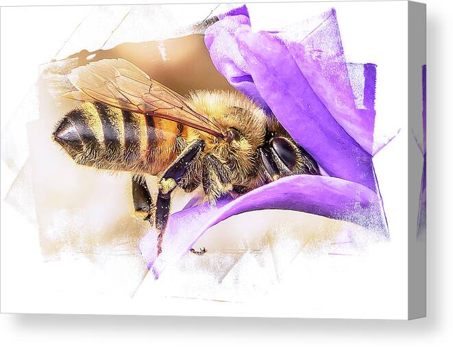 Bee Canvas Print featuring the photograph Busy As A Bee by Jennifer Grossnickle
