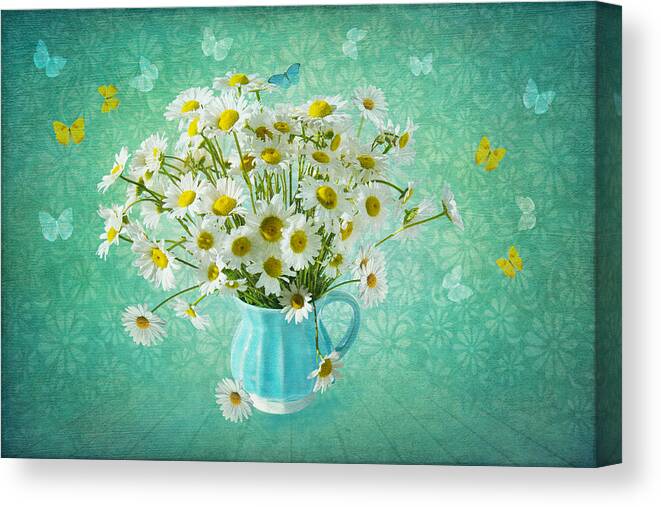 Daisy Canvas Print featuring the photograph Butterfly Kisses and Flower Petal Wishes by Marina Kojukhova