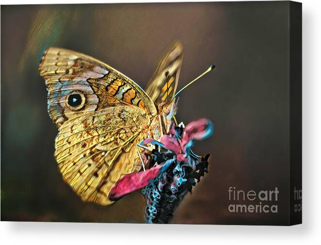 Butterfly Canvas Print featuring the photograph Butterfly on a Flower by Wernher Krutein