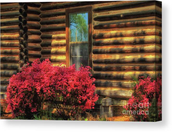 Log Cabin Canvas Print featuring the photograph Cabin Delight by Geraldine DeBoer