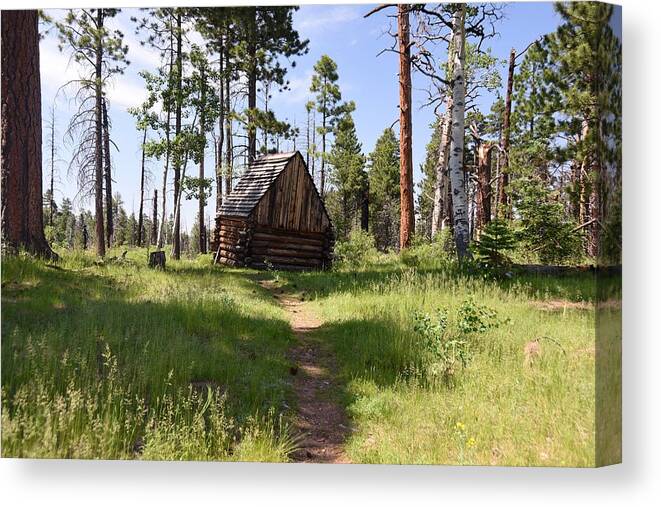 Photograph Canvas Print featuring the photograph Cabin in the Woods by Richard Gehlbach