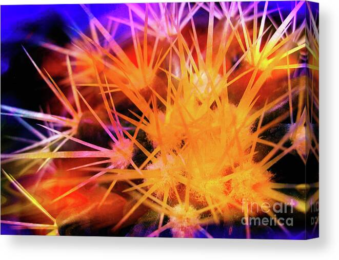 Leaves Canvas Print featuring the photograph Cactus Abstract 2 by Judi Bagwell
