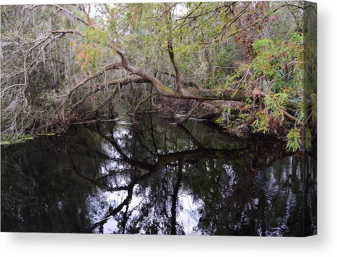 Camp Canal Canvas Print featuring the photograph Camp Canal by Warren Thompson