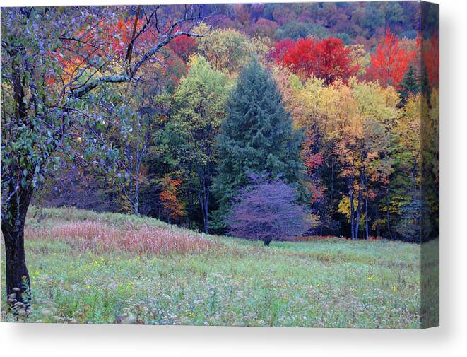 West Virginia Canvas Print featuring the photograph Canaan Valley in Vivid by Roberta Kayne