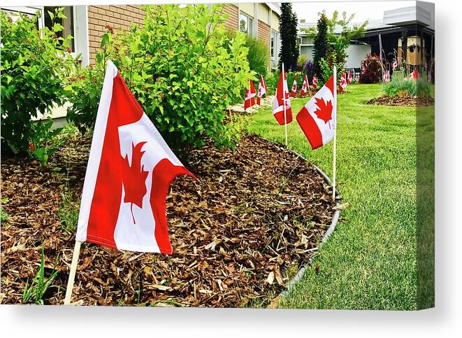  Canvas Print featuring the photograph Canada Day by Brian Sereda